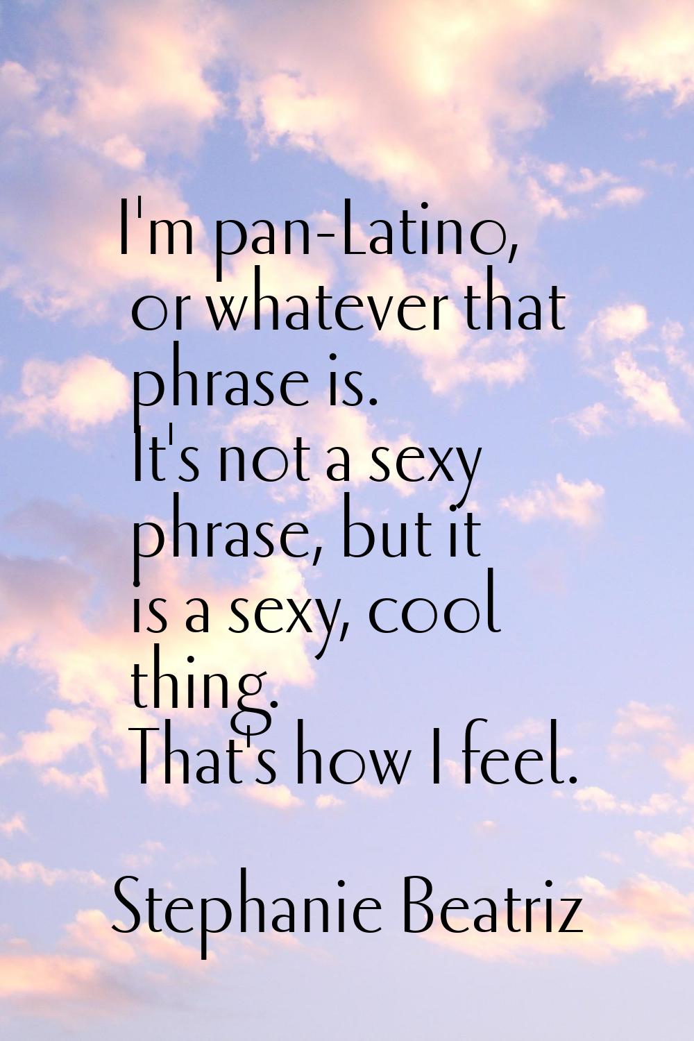 I'm pan-Latino, or whatever that phrase is. It's not a sexy phrase, but it is a sexy, cool thing. T
