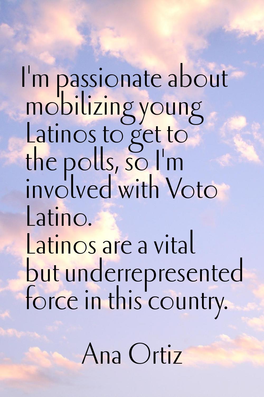I'm passionate about mobilizing young Latinos to get to the polls, so I'm involved with Voto Latino