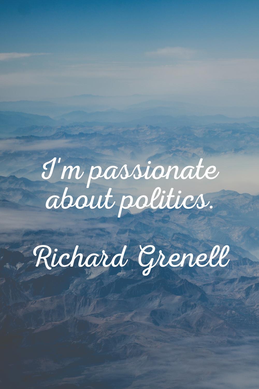 I'm passionate about politics.