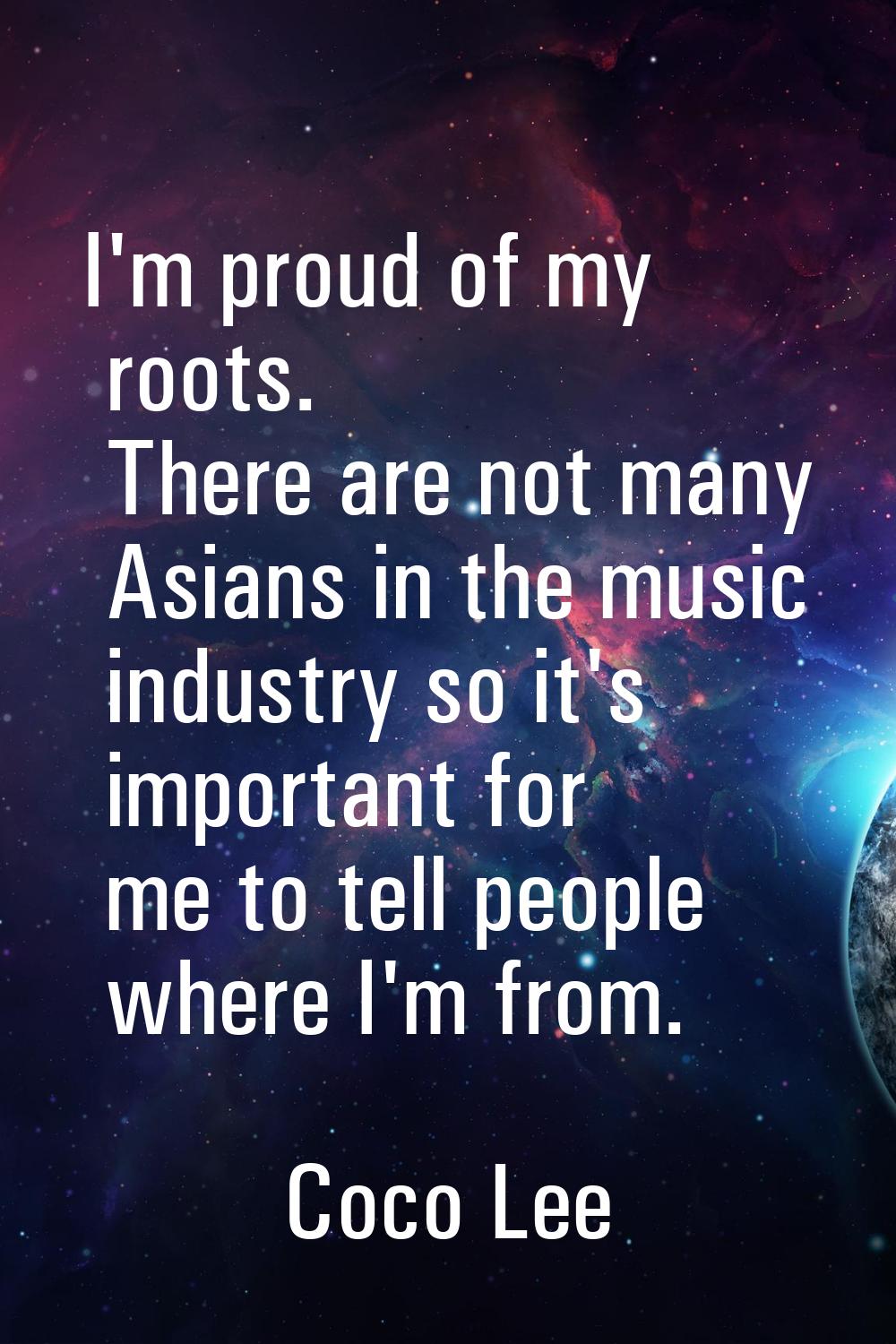 I'm proud of my roots. There are not many Asians in the music industry so it's important for me to 