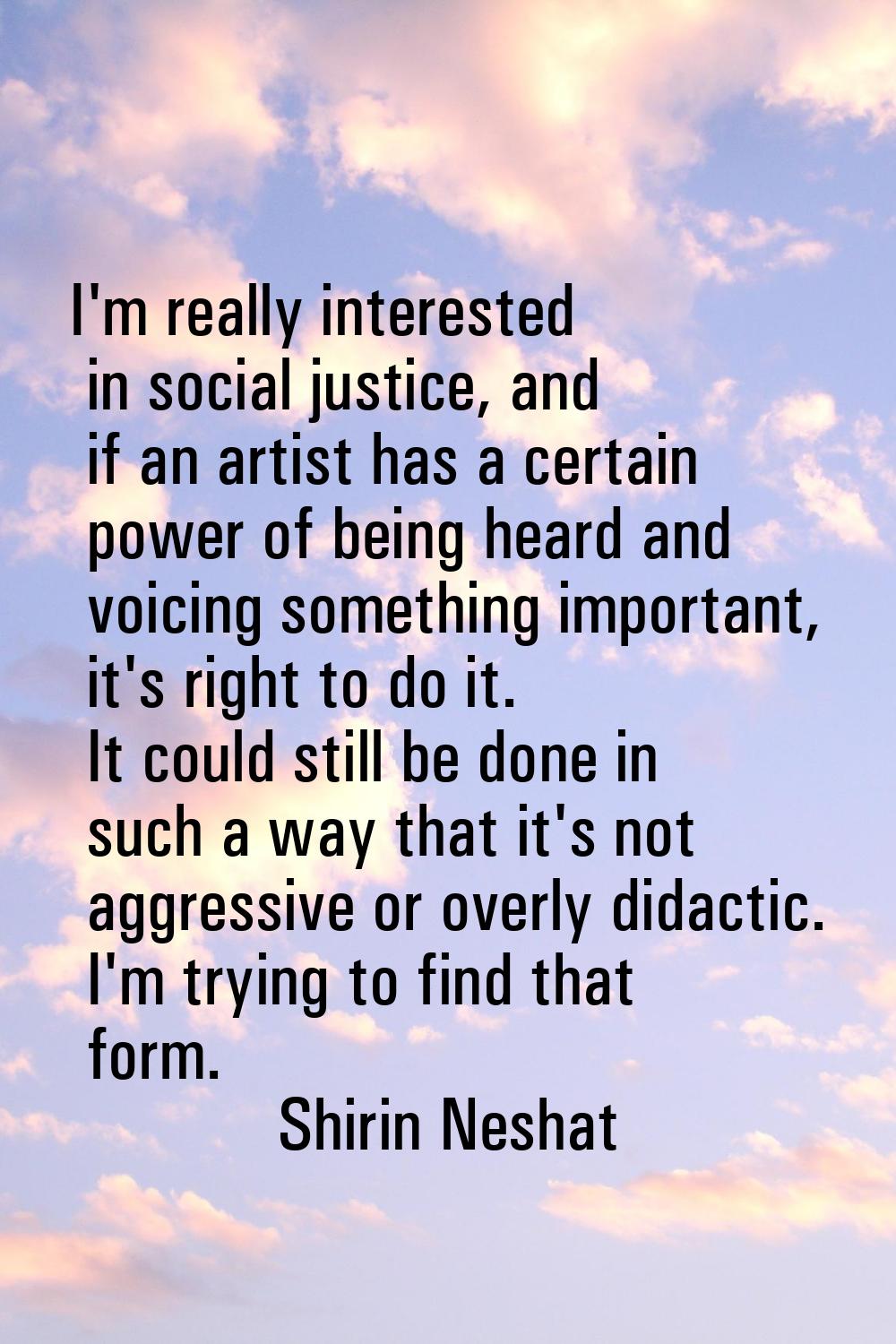 I'm really interested in social justice, and if an artist has a certain power of being heard and vo