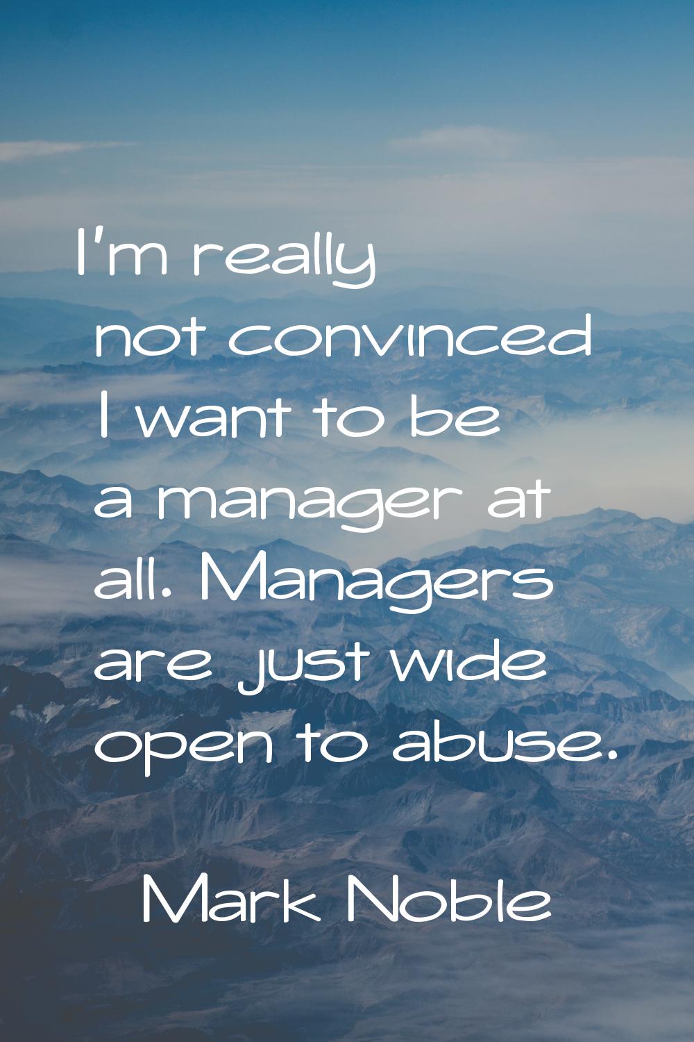 I'm really not convinced I want to be a manager at all. Managers are just wide open to abuse.