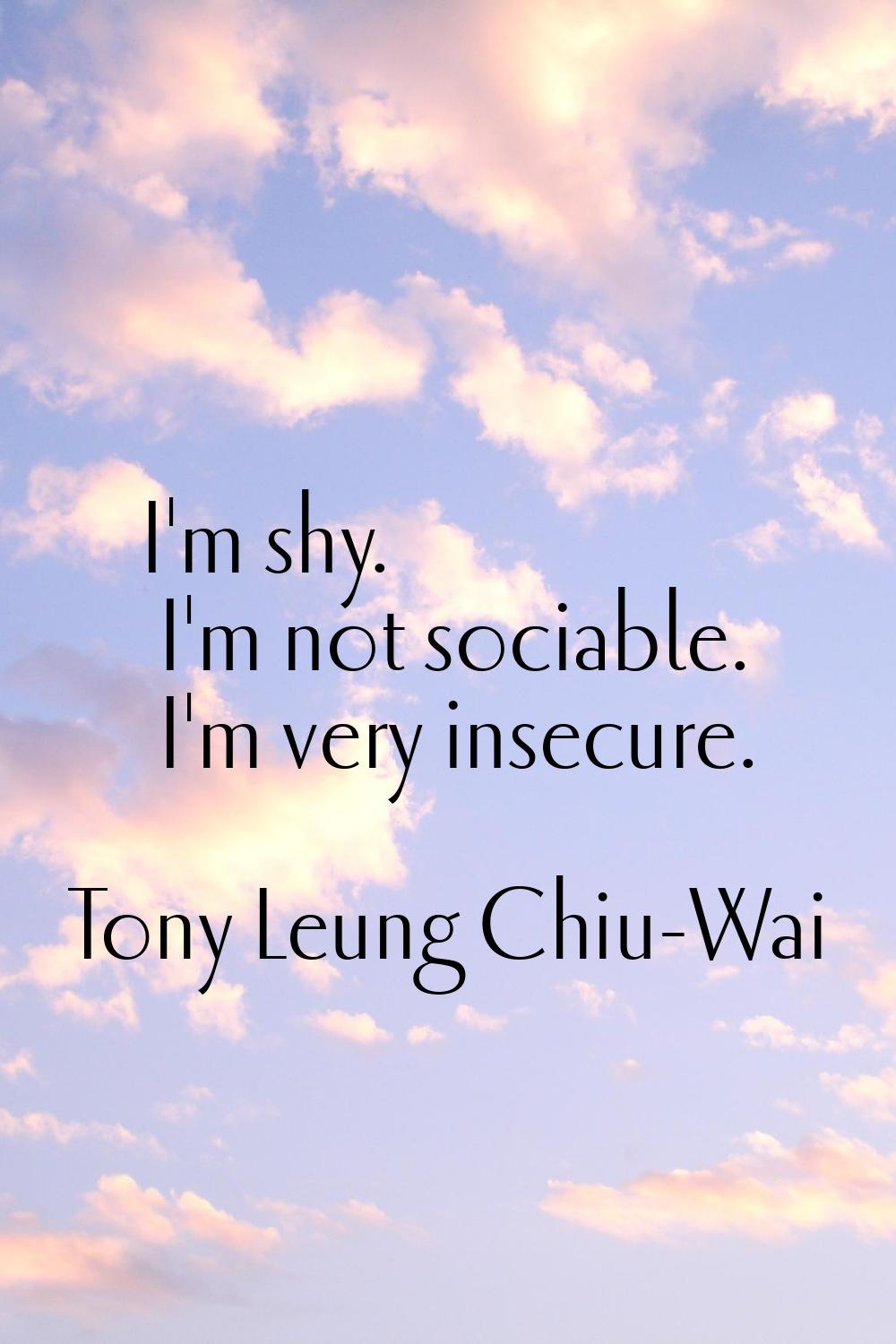 I'm shy. I'm not sociable. I'm very insecure.