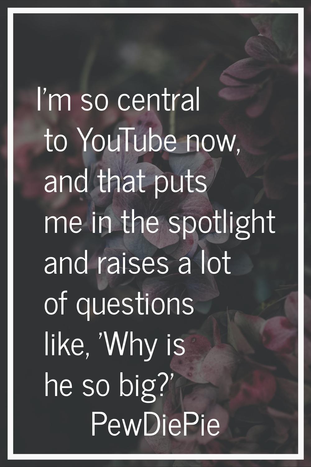 I'm so central to YouTube now, and that puts me in the spotlight and raises a lot of questions like