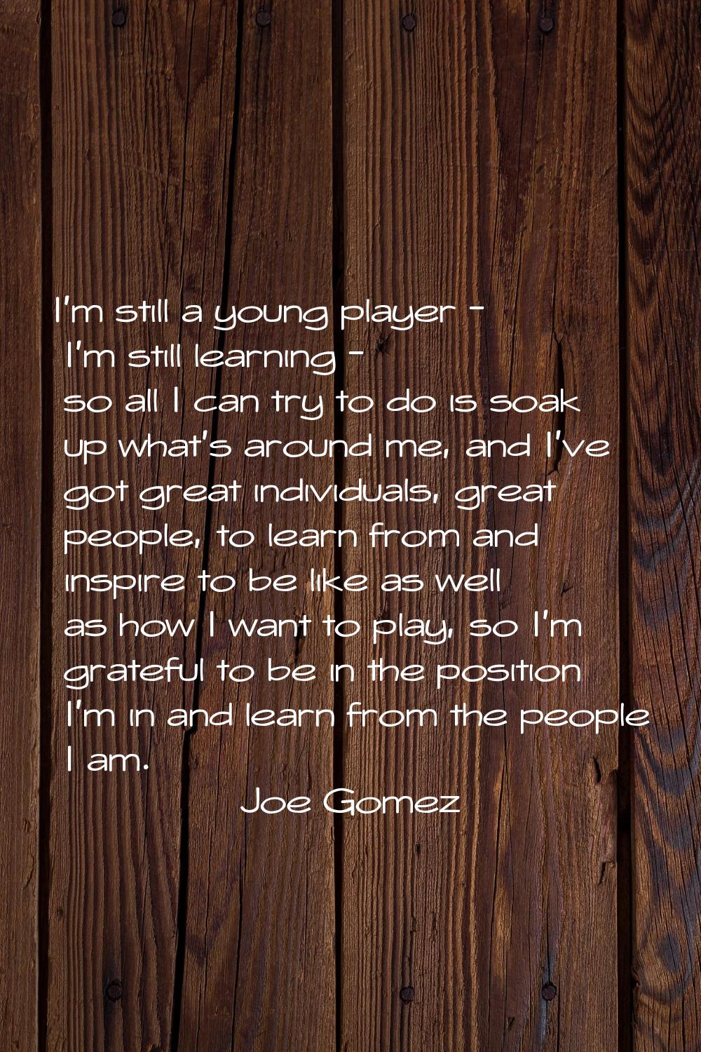 I'm still a young player - I'm still learning - so all I can try to do is soak up what's around me,