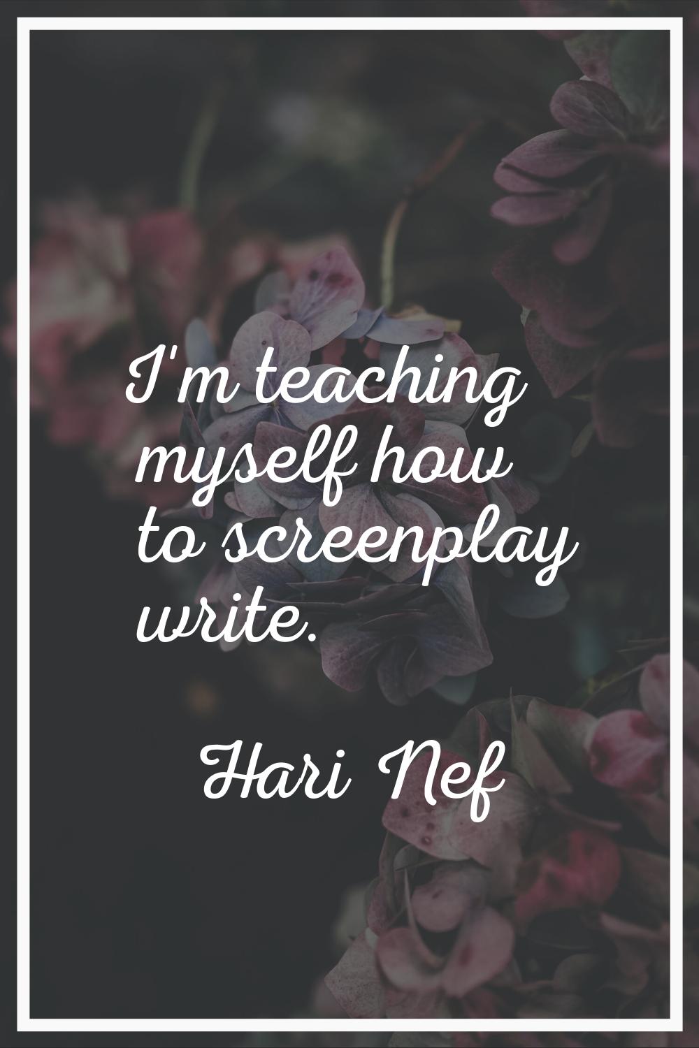 I'm teaching myself how to screenplay write.