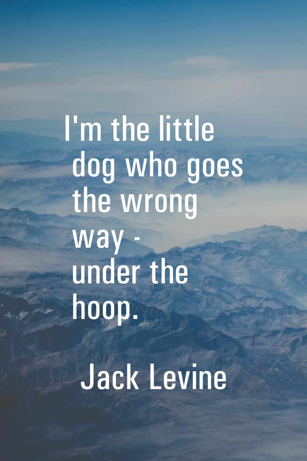 I'm the little dog who goes the wrong way - under the hoop.