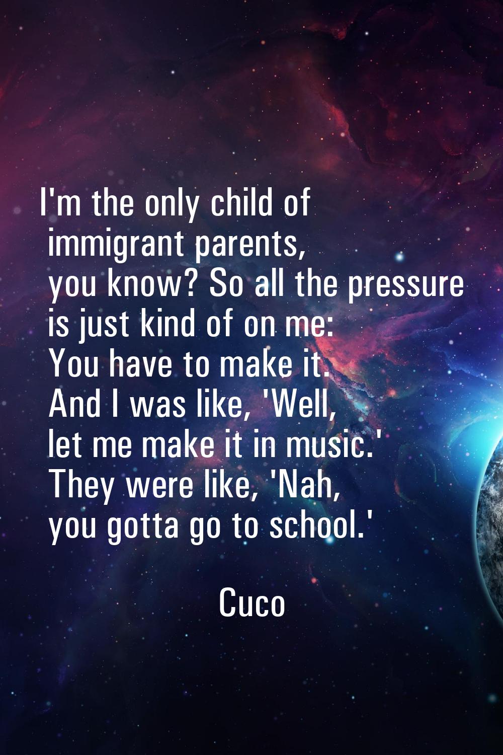 I'm the only child of immigrant parents, you know? So all the pressure is just kind of on me: You h