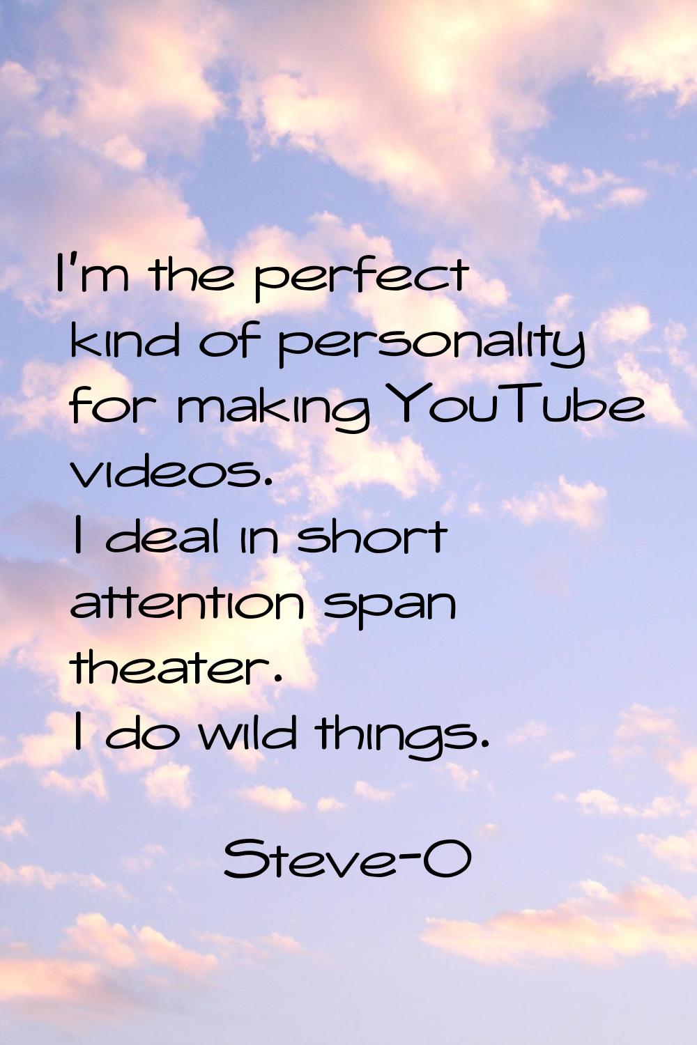 I'm the perfect kind of personality for making YouTube videos. I deal in short attention span theat