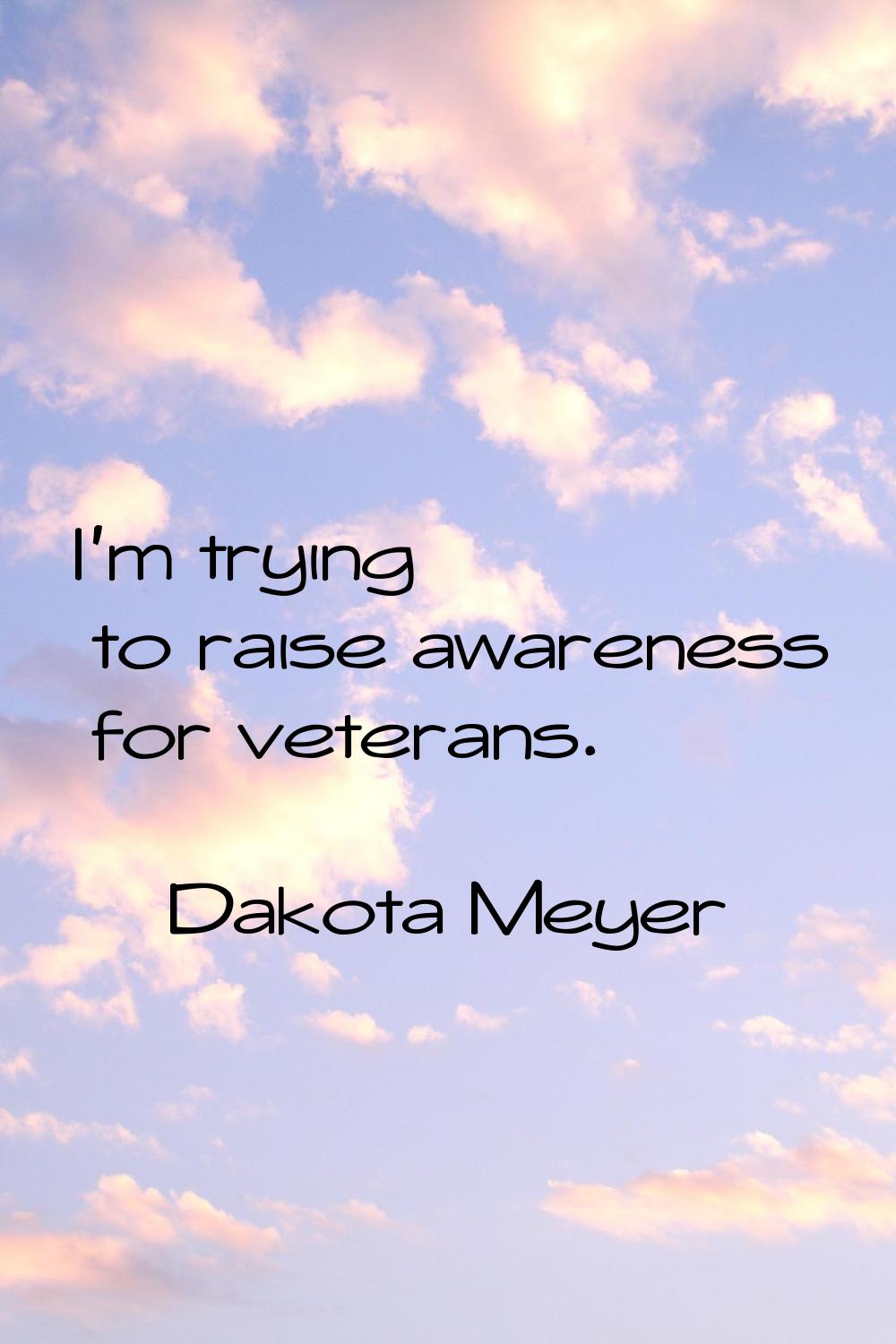 I'm trying to raise awareness for veterans.