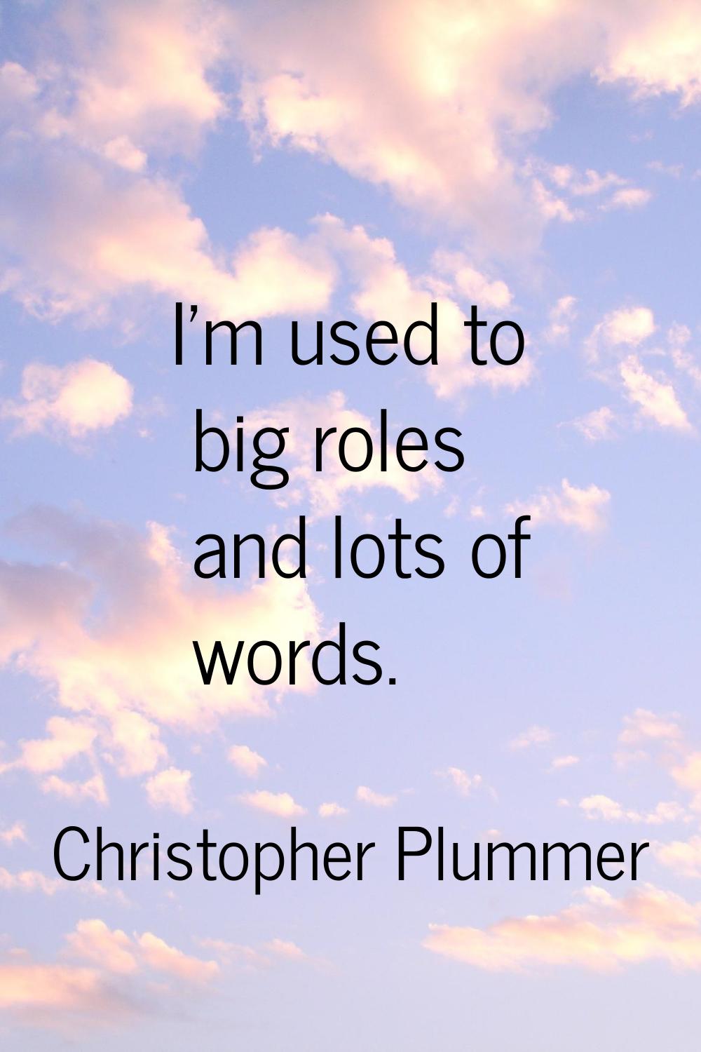 I'm used to big roles and lots of words.