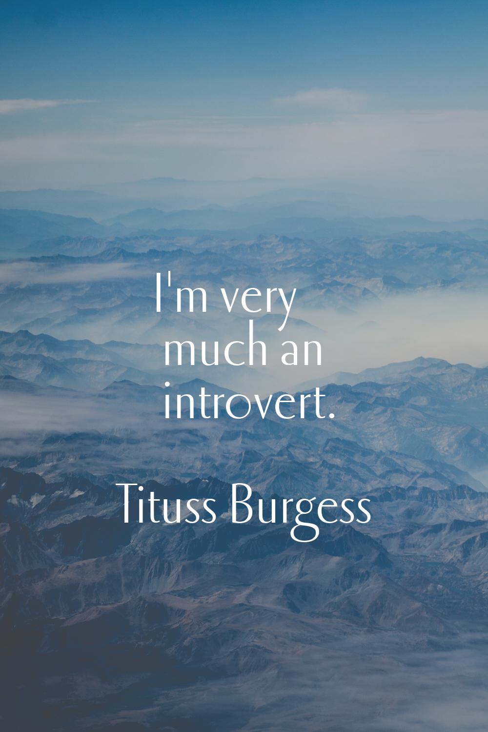 I'm very much an introvert.
