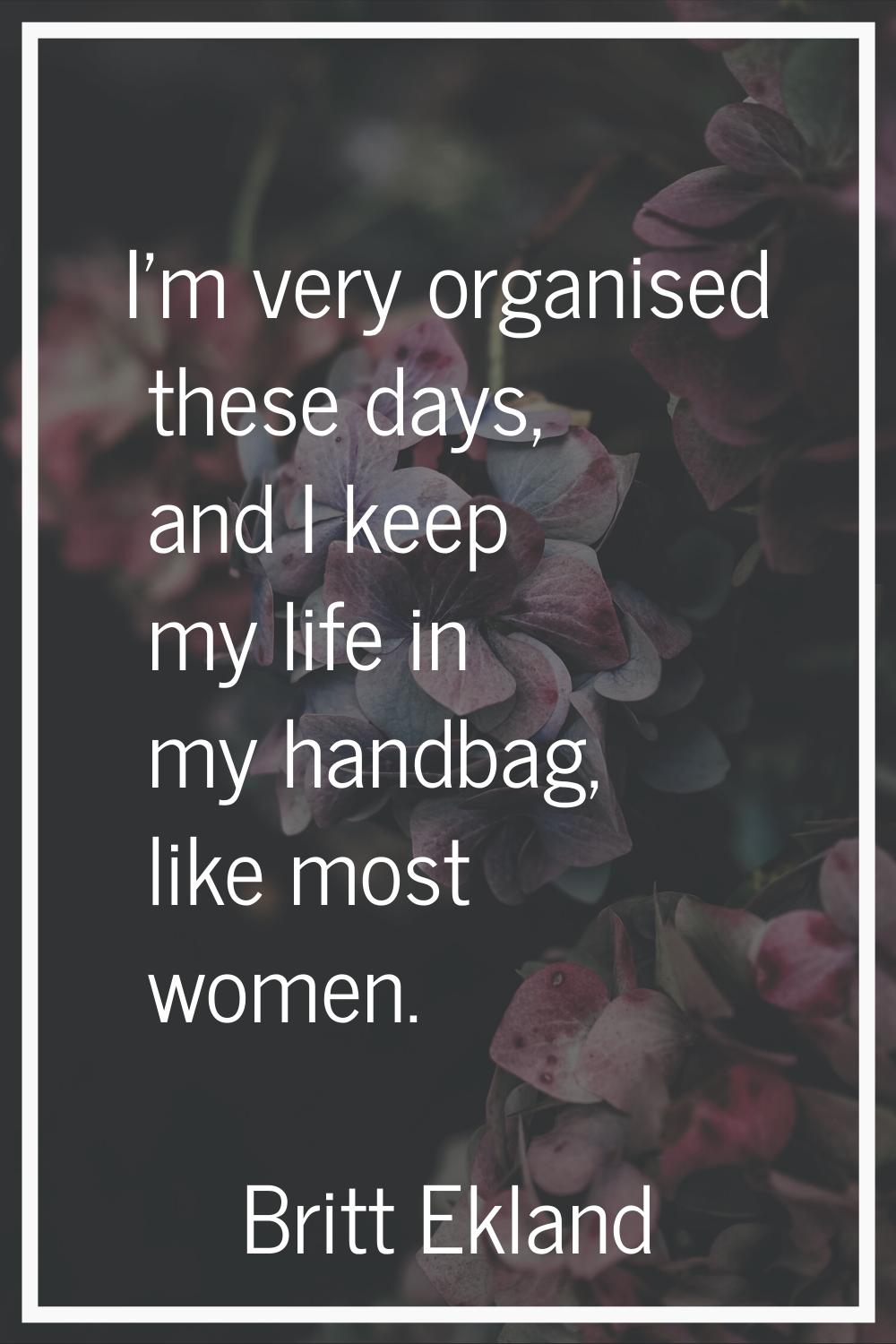 I'm very organised these days, and I keep my life in my handbag, like most women.