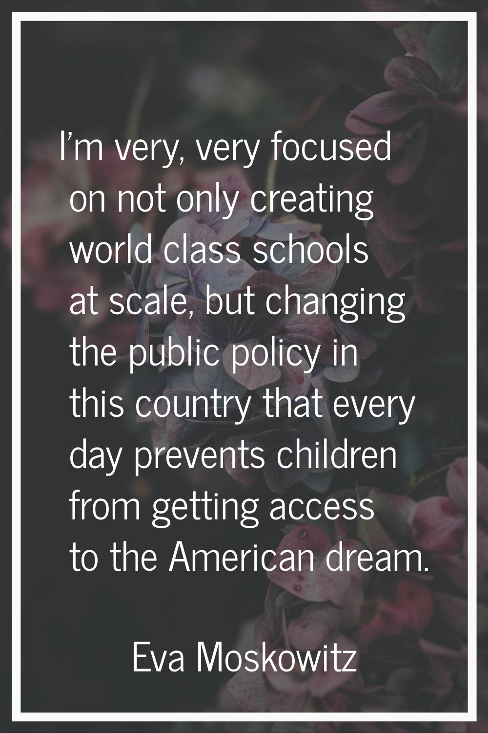 I'm very, very focused on not only creating world class schools at scale, but changing the public p