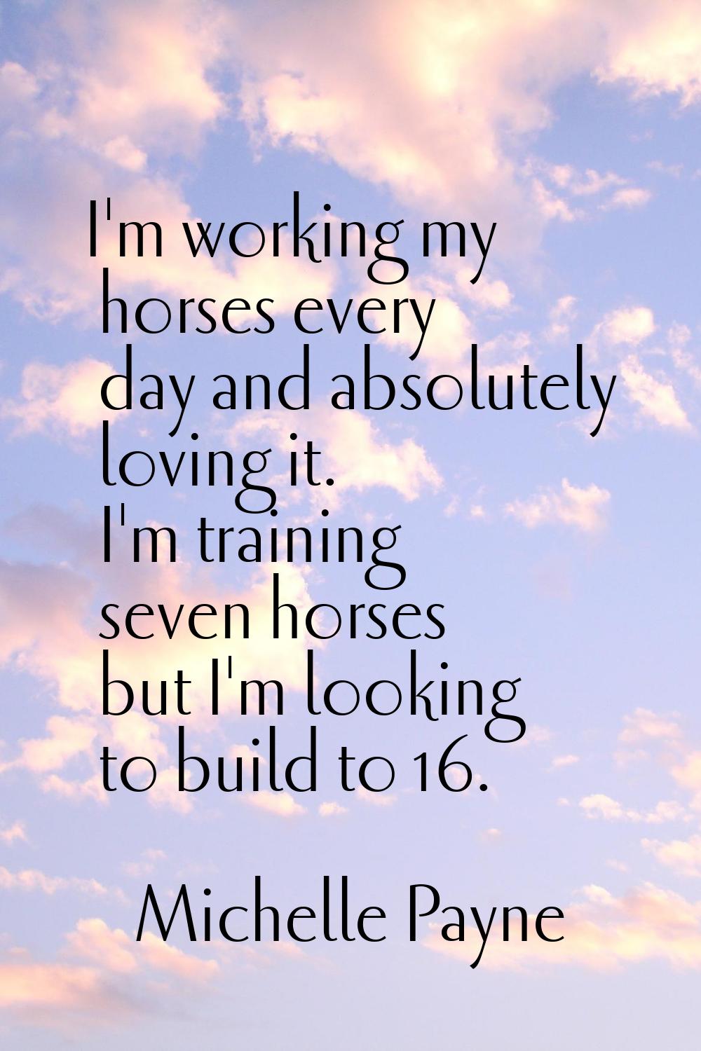 I'm working my horses every day and absolutely loving it. I'm training seven horses but I'm looking