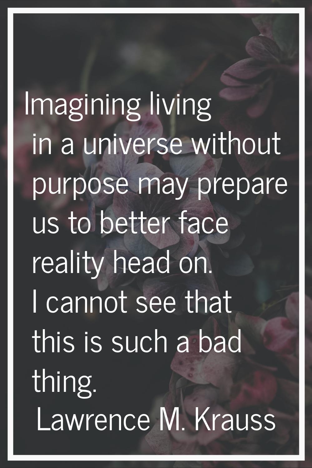 Imagining living in a universe without purpose may prepare us to better face reality head on. I can