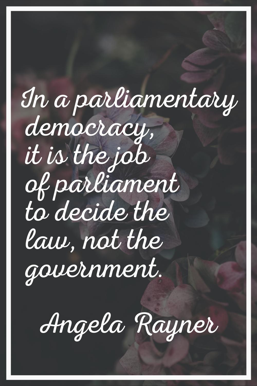 In a parliamentary democracy, it is the job of parliament to decide the law, not the government.
