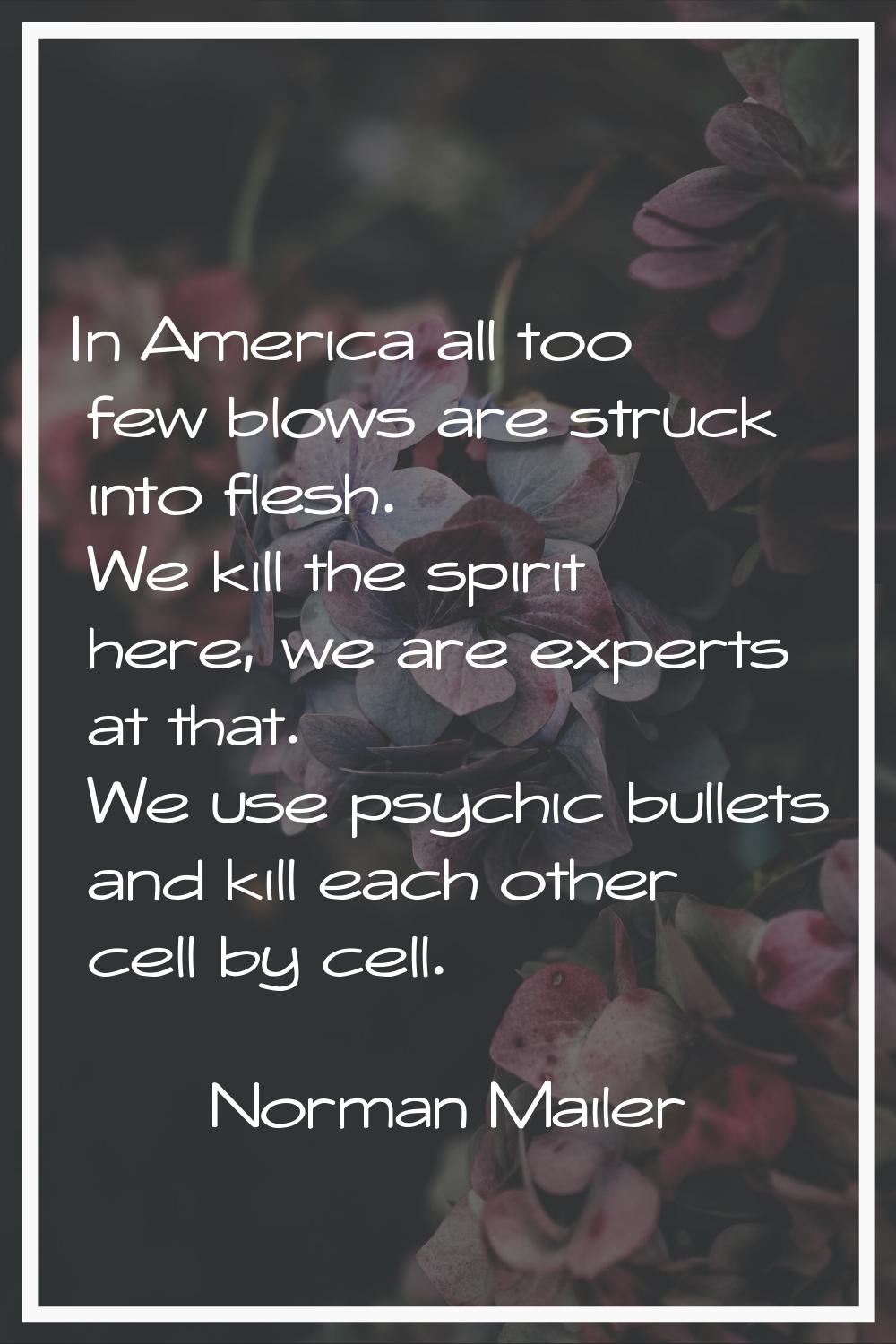 In America all too few blows are struck into flesh. We kill the spirit here, we are experts at that
