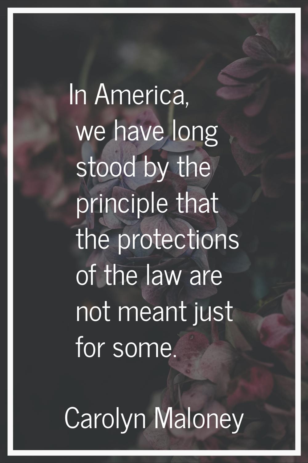 In America, we have long stood by the principle that the protections of the law are not meant just 