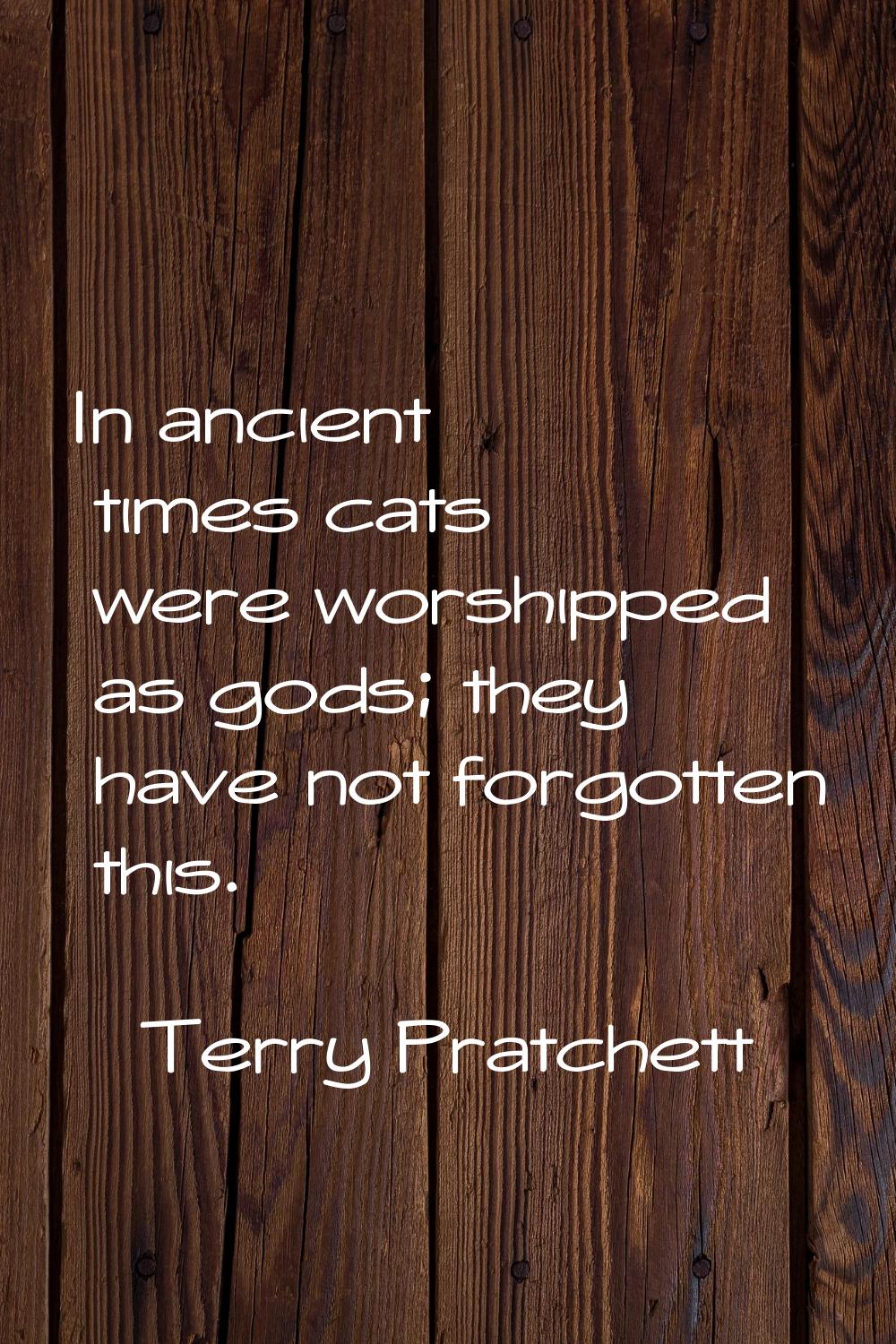 In ancient times cats were worshipped as gods; they have not forgotten this.