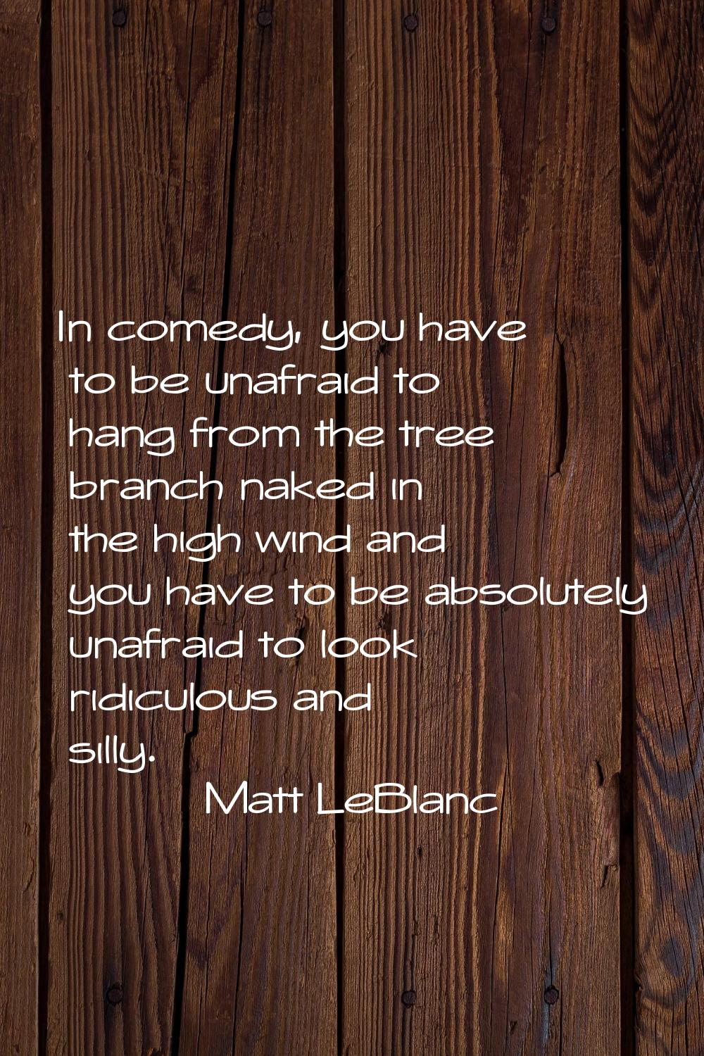 In comedy, you have to be unafraid to hang from the tree branch naked in the high wind and you have