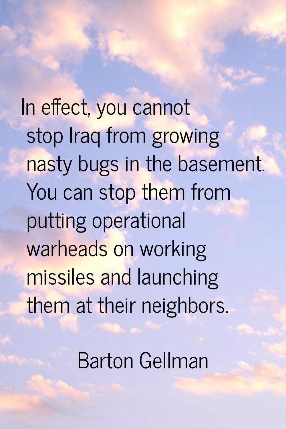 In effect, you cannot stop Iraq from growing nasty bugs in the basement. You can stop them from put