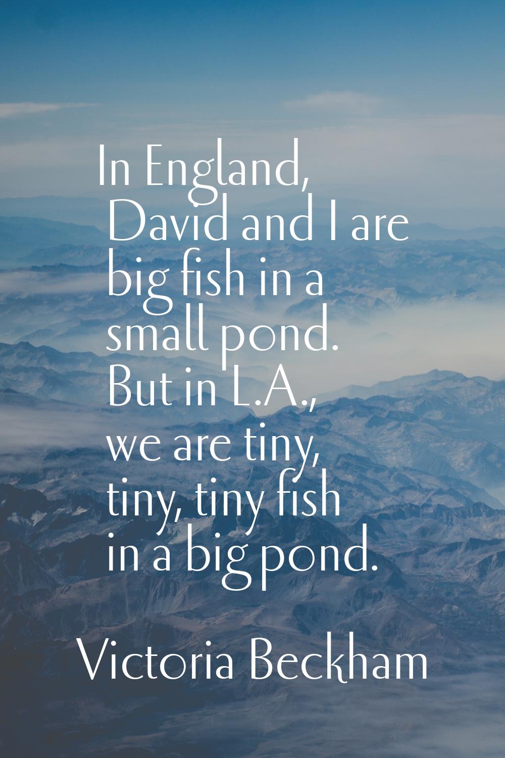 In England, David and I are big fish in a small pond. But in L.A., we are tiny, tiny, tiny fish in 