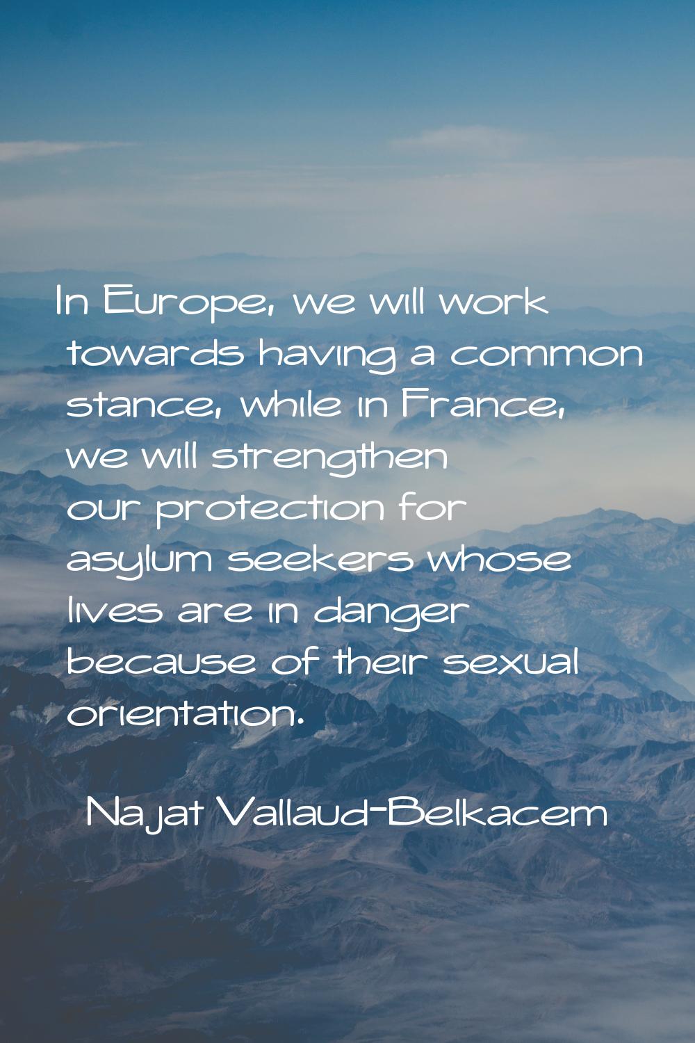 In Europe, we will work towards having a common stance, while in France, we will strengthen our pro