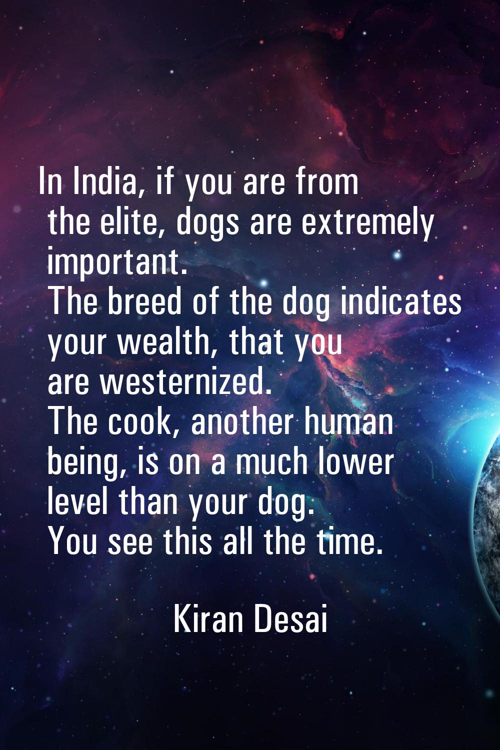 In India, if you are from the elite, dogs are extremely important. The breed of the dog indicates y