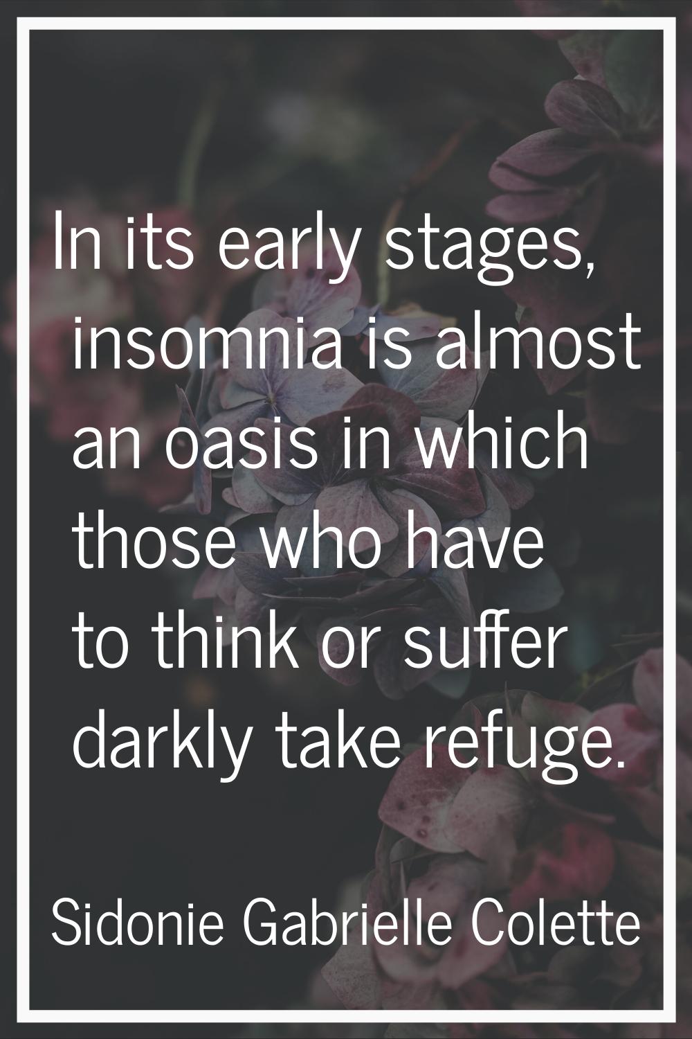 In its early stages, insomnia is almost an oasis in which those who have to think or suffer darkly 