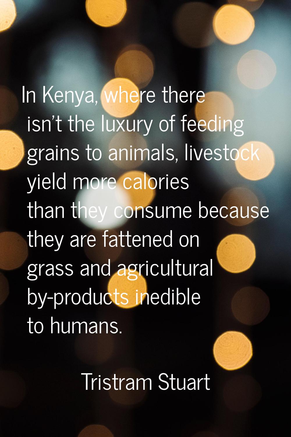 In Kenya, where there isn't the luxury of feeding grains to animals, livestock yield more calories 