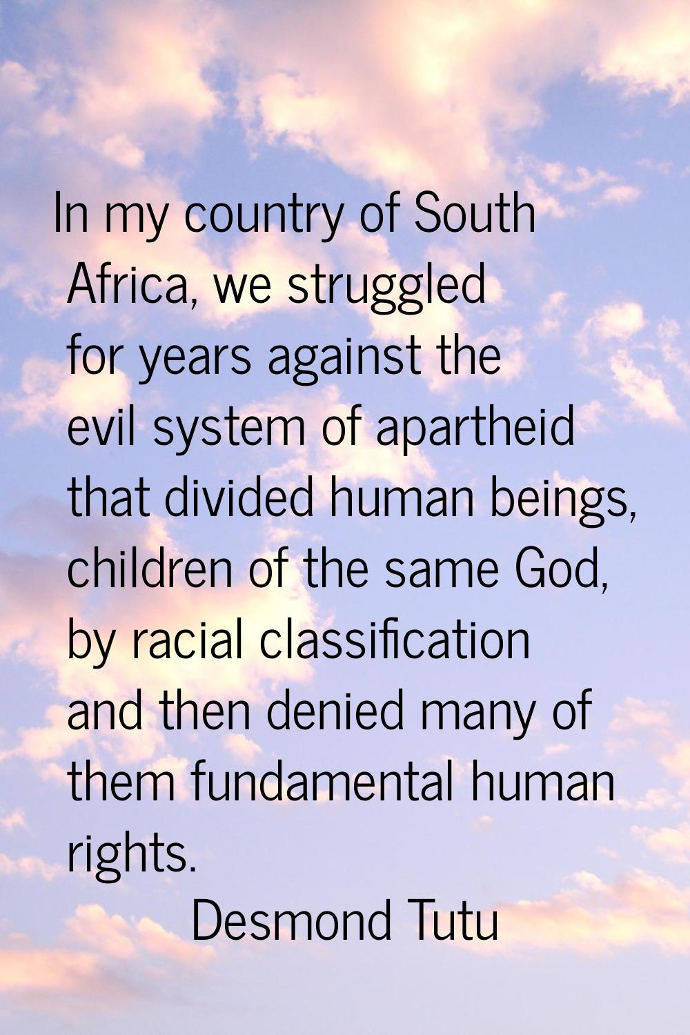 In my country of South Africa, we struggled for years against the evil system of apartheid that div