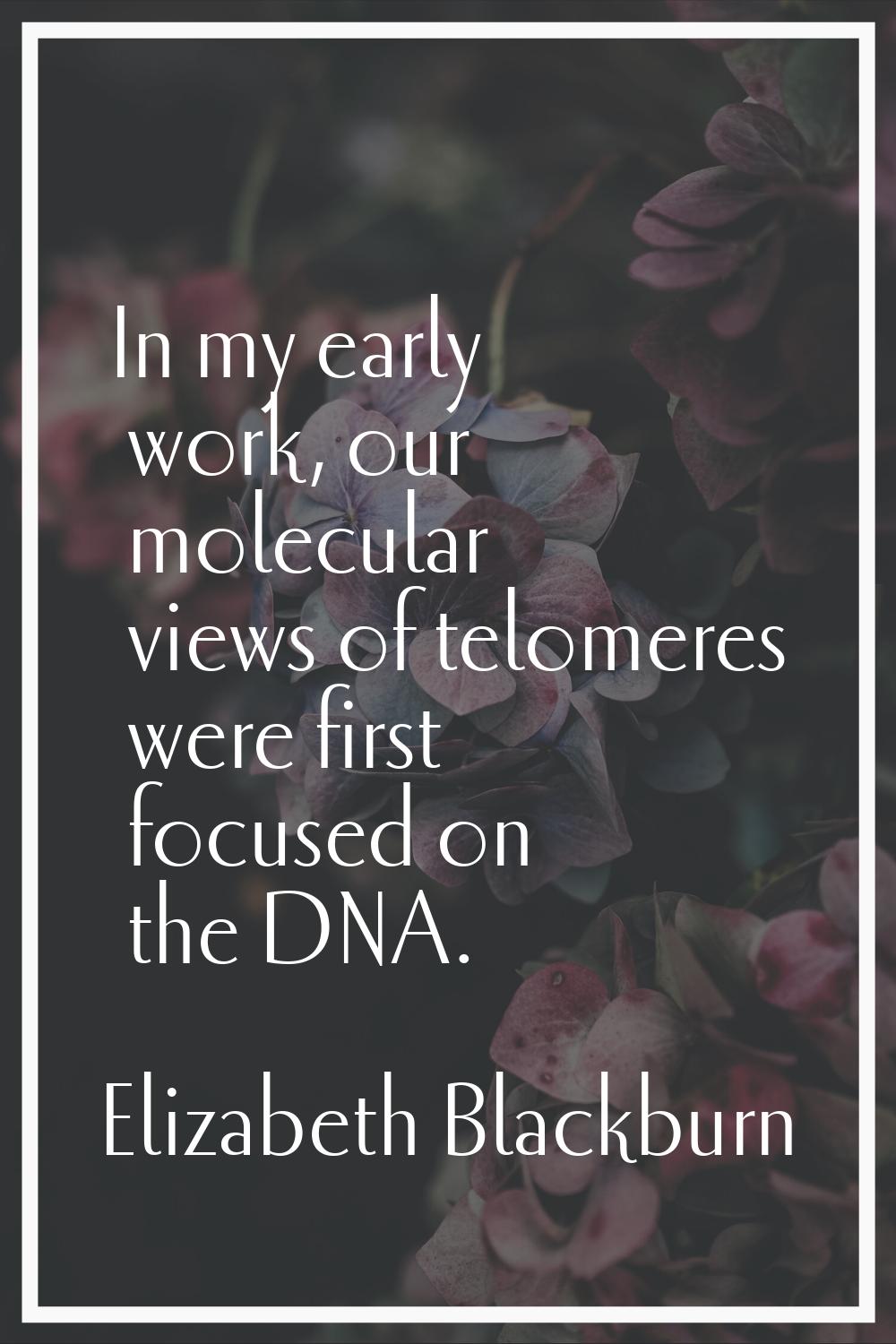 In my early work, our molecular views of telomeres were first focused on the DNA.