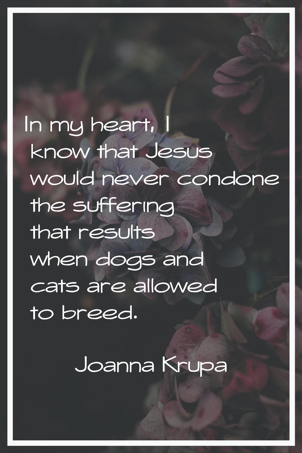 In my heart, I know that Jesus would never condone the suffering that results when dogs and cats ar