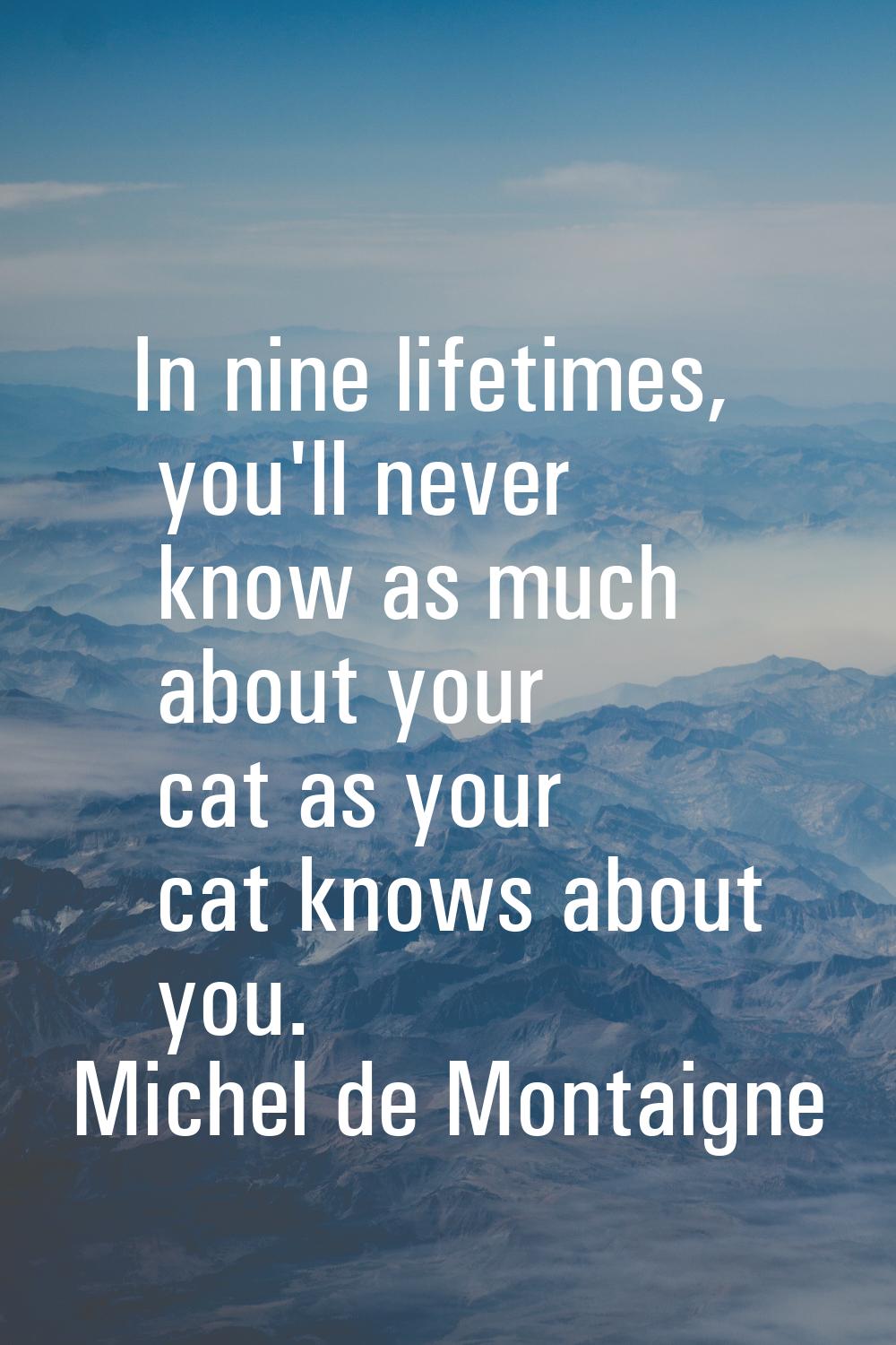 In nine lifetimes, you'll never know as much about your cat as your cat knows about you.