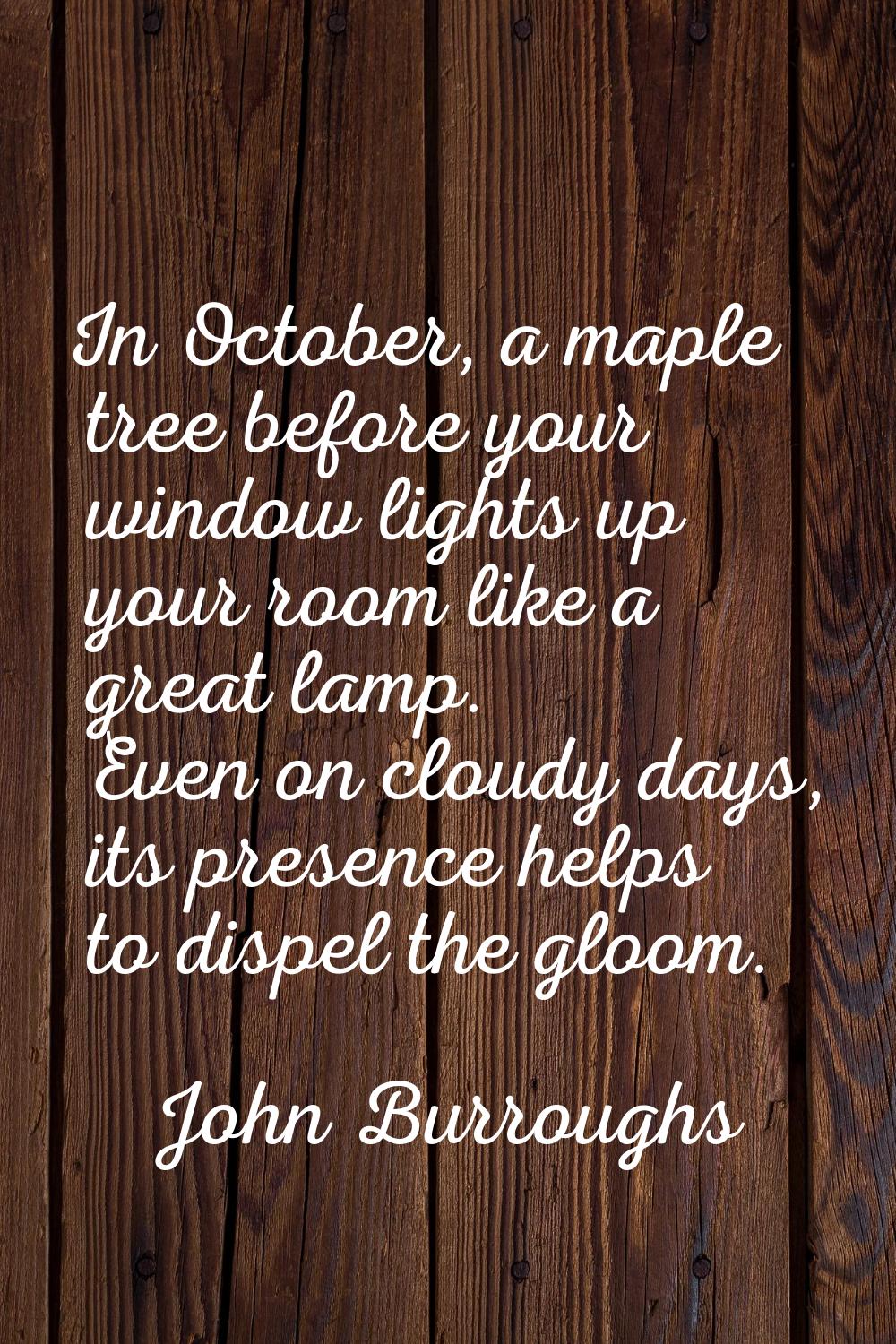 In October, a maple tree before your window lights up your room like a great lamp. Even on cloudy d