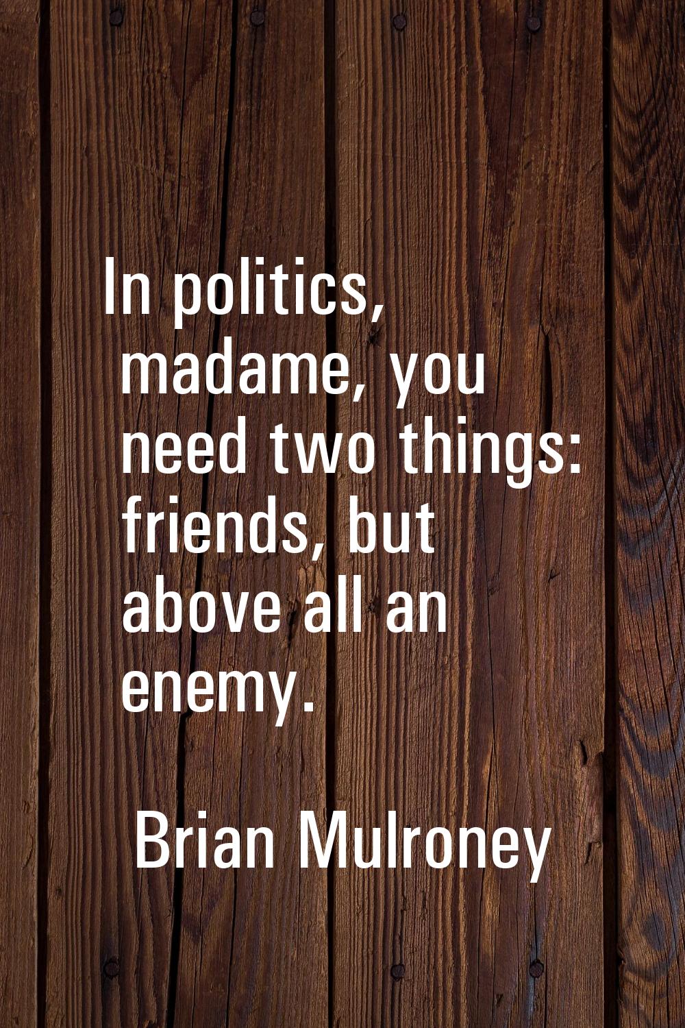 In politics, madame, you need two things: friends, but above all an enemy.