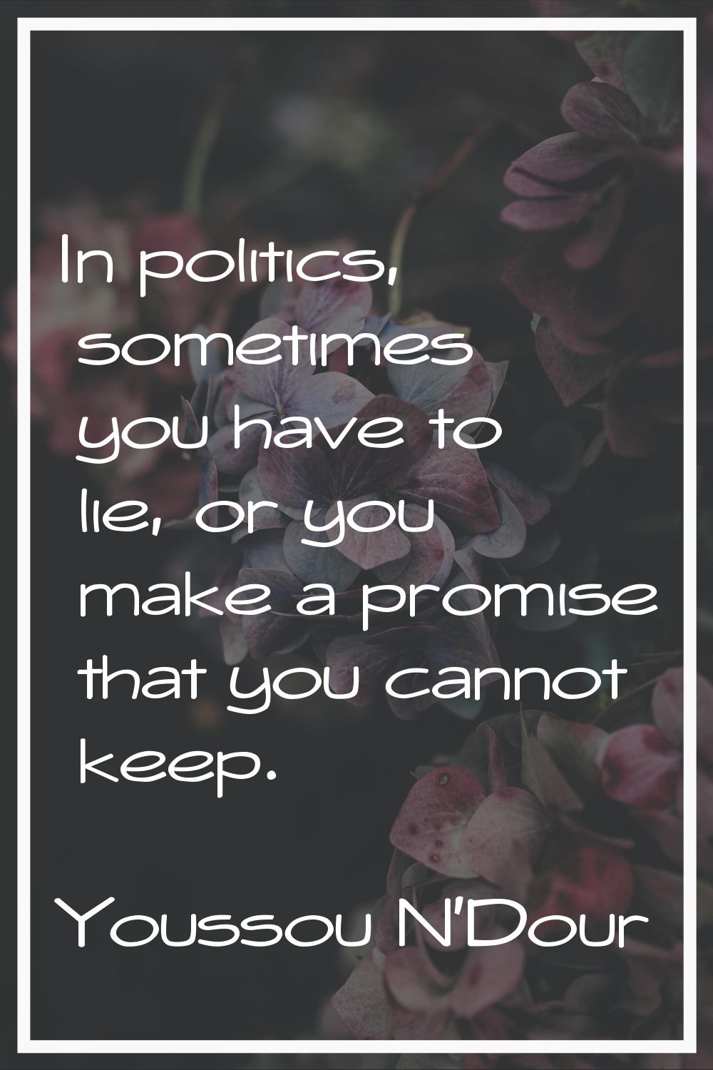 In politics, sometimes you have to lie, or you make a promise that you cannot keep.