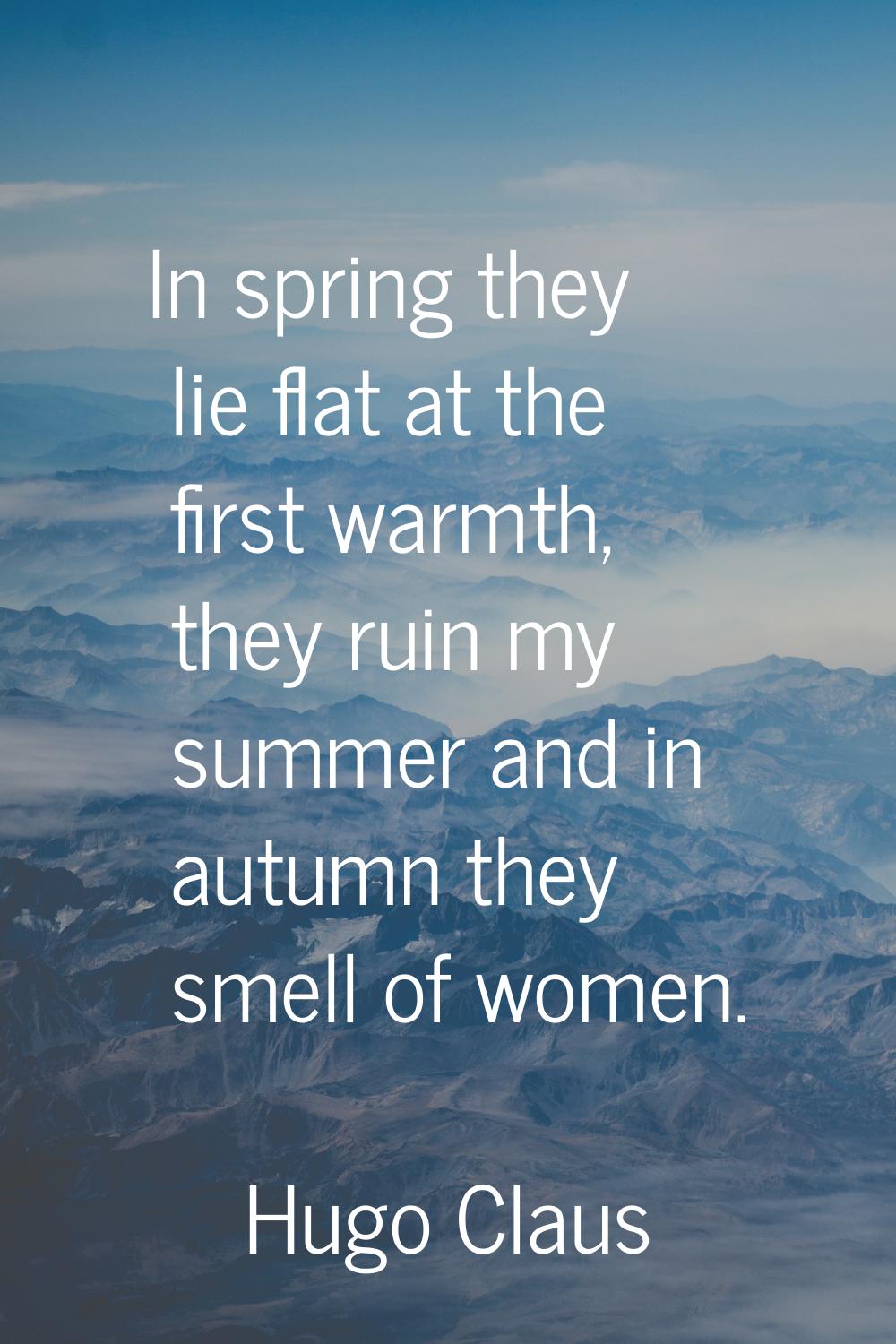 In spring they lie flat at the first warmth, they ruin my summer and in autumn they smell of women.