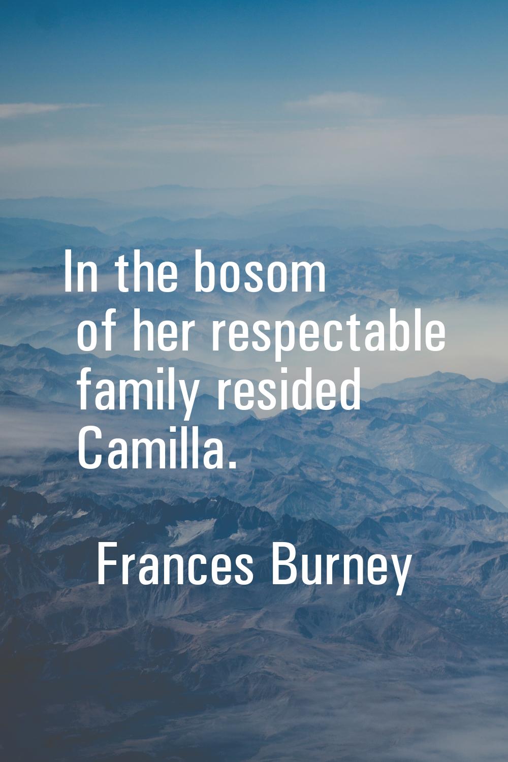 In the bosom of her respectable family resided Camilla.