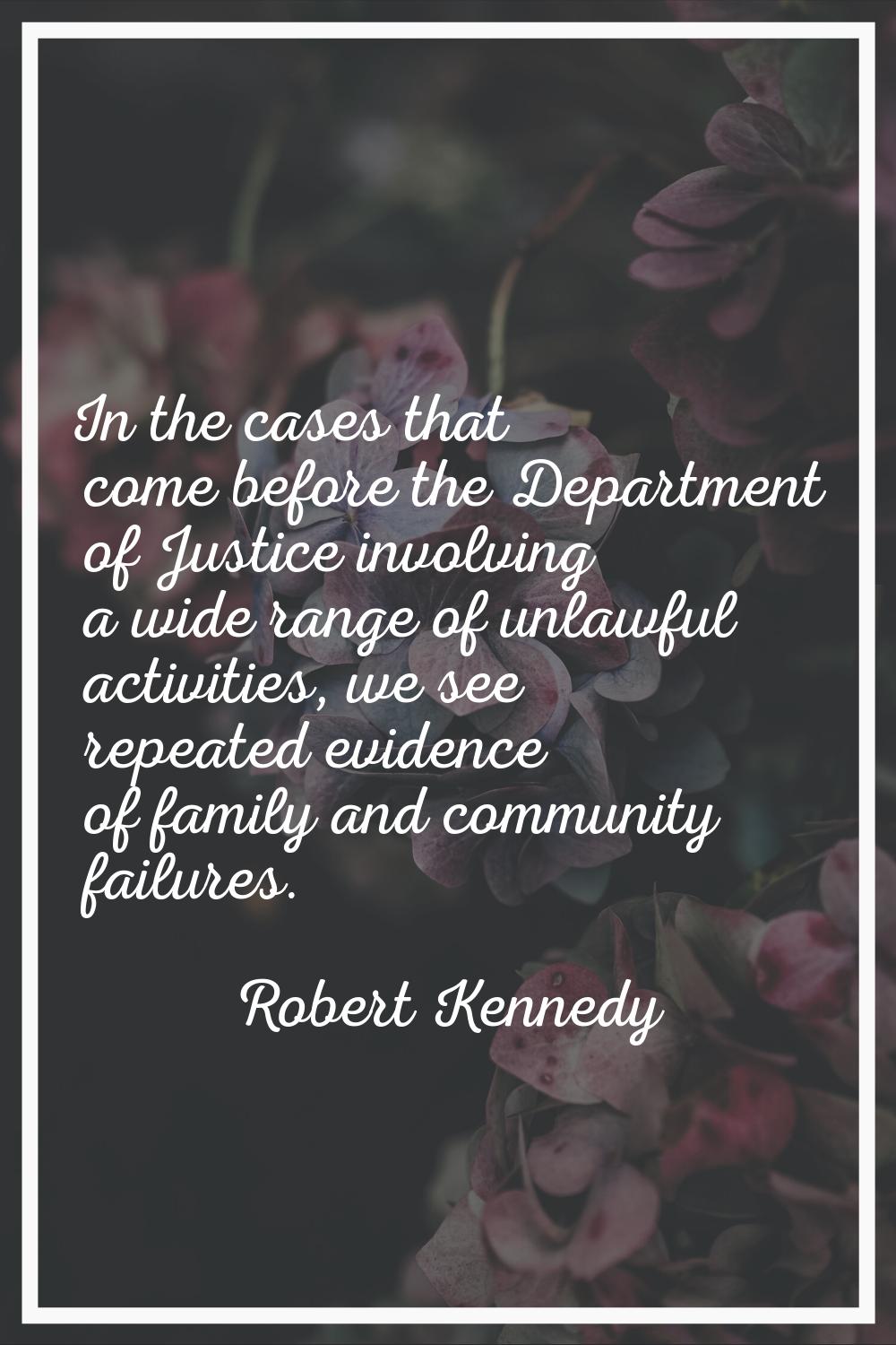 In the cases that come before the Department of Justice involving a wide range of unlawful activiti