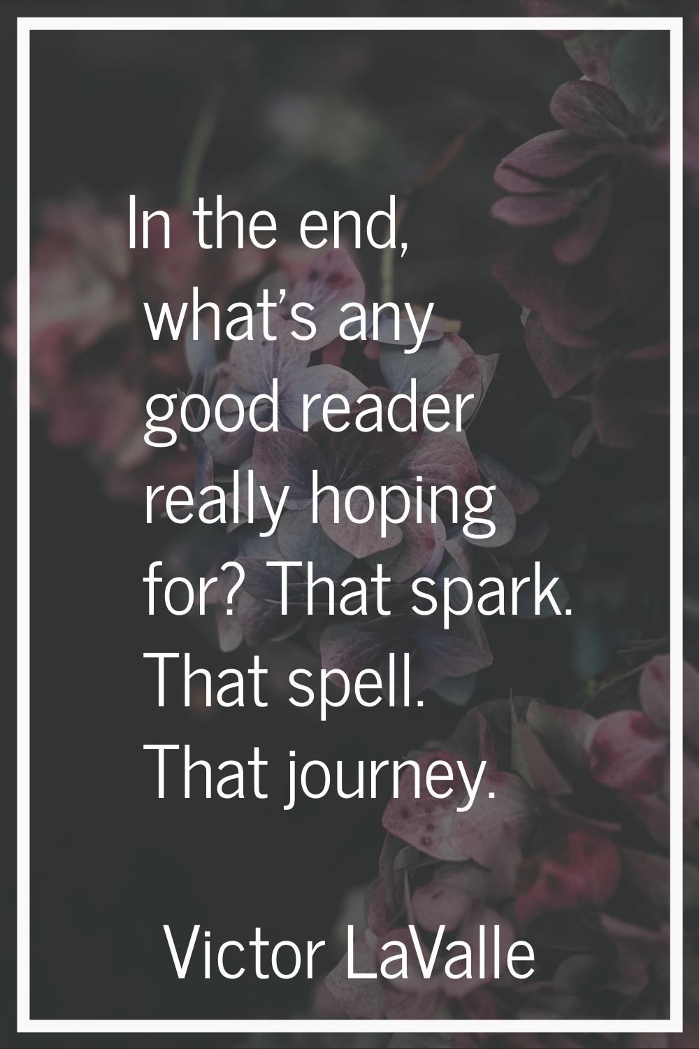 In the end, what's any good reader really hoping for? That spark. That spell. That journey.