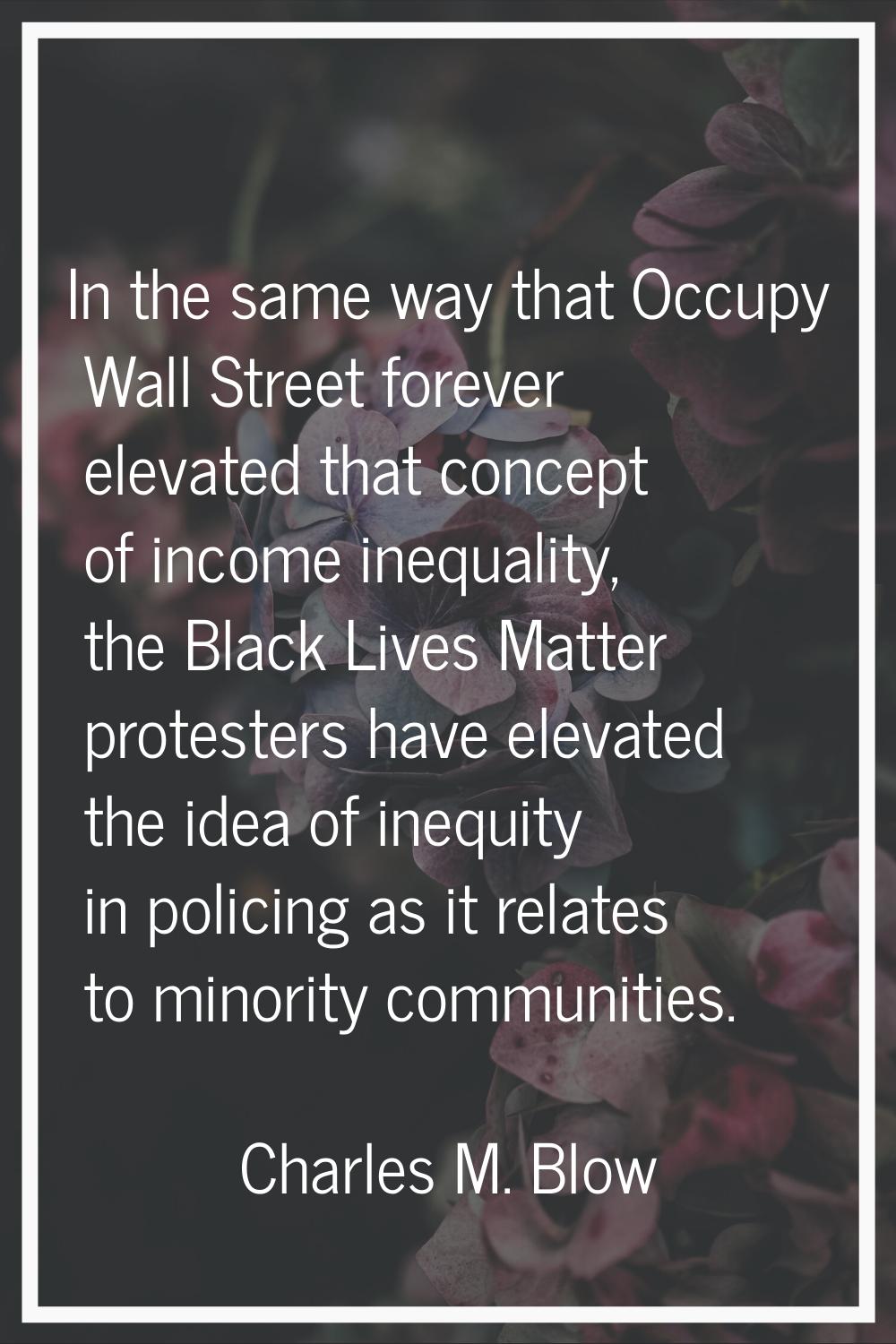 In the same way that Occupy Wall Street forever elevated that concept of income inequality, the Bla