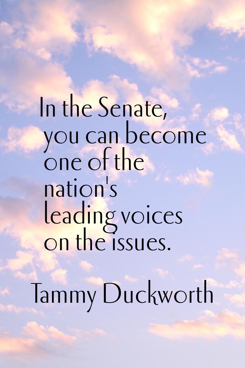 In the Senate, you can become one of the nation's leading voices on the issues.