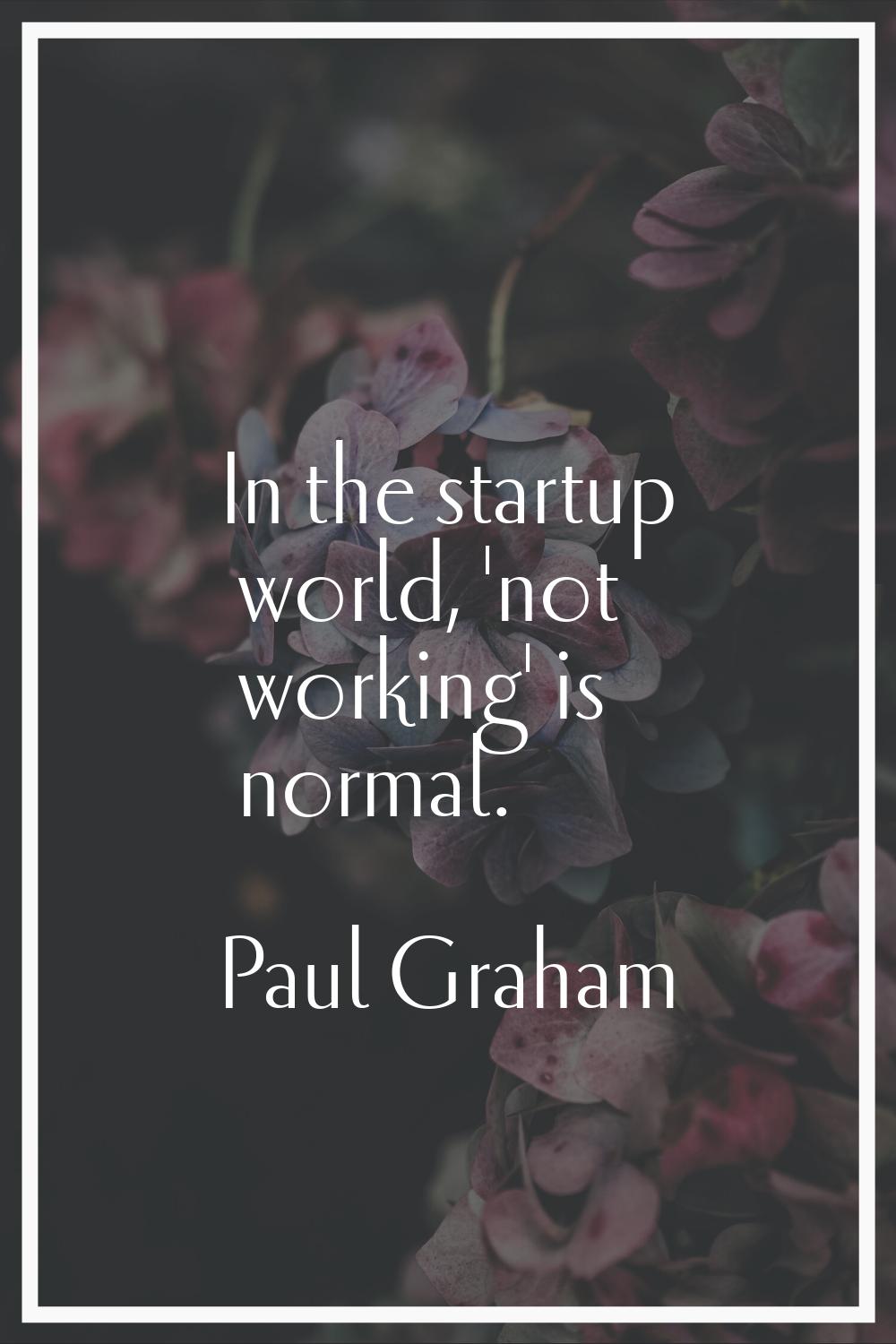 In the startup world, 'not working' is normal.