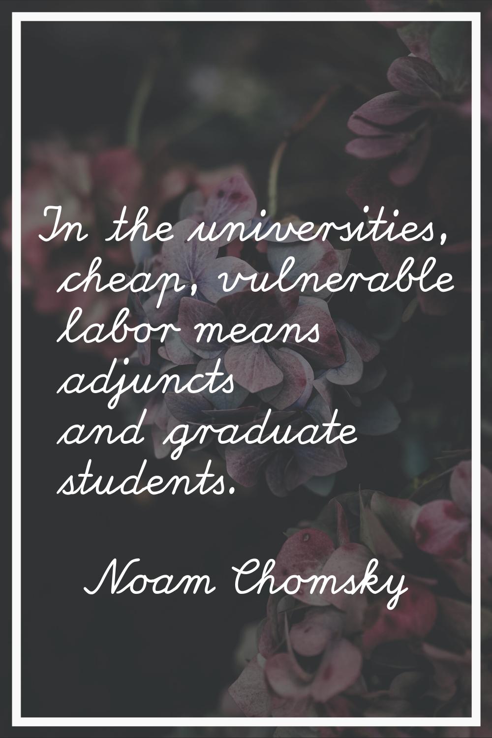In the universities, cheap, vulnerable labor means adjuncts and graduate students.