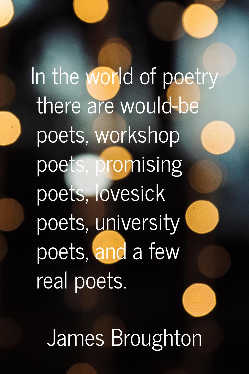 In the world of poetry there are would-be poets, workshop poets, promising poets, lovesick poets, u