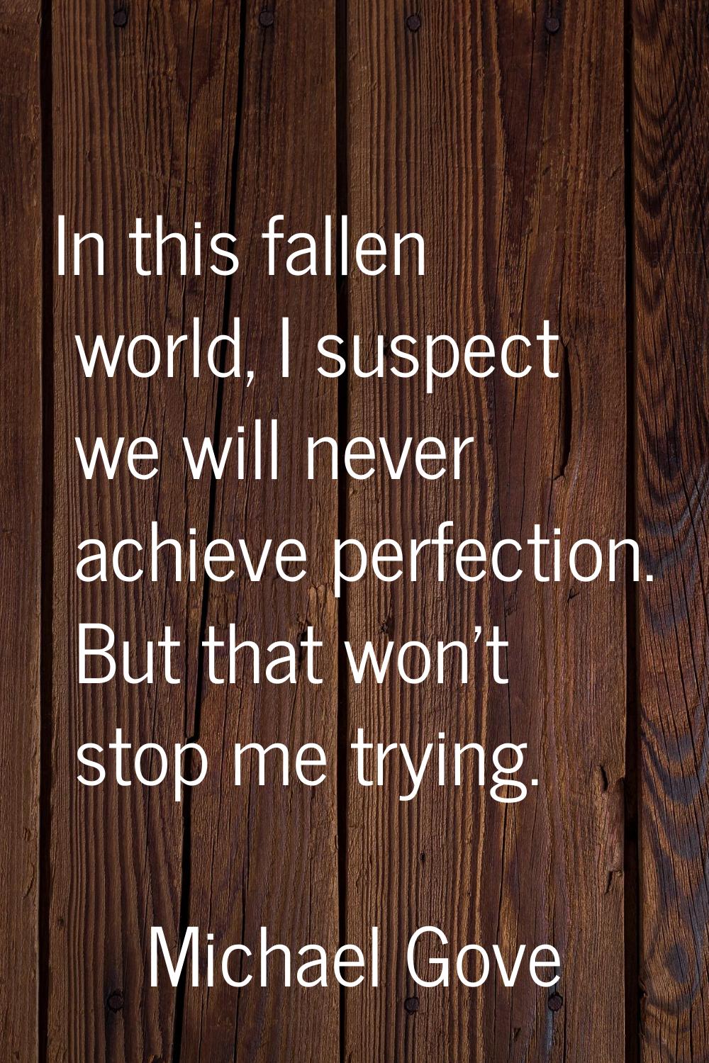 In this fallen world, I suspect we will never achieve perfection. But that won't stop me trying.