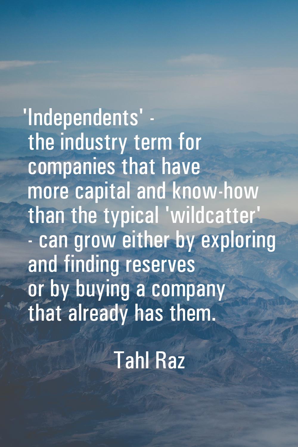 'Independents' - the industry term for companies that have more capital and know-how than the typic