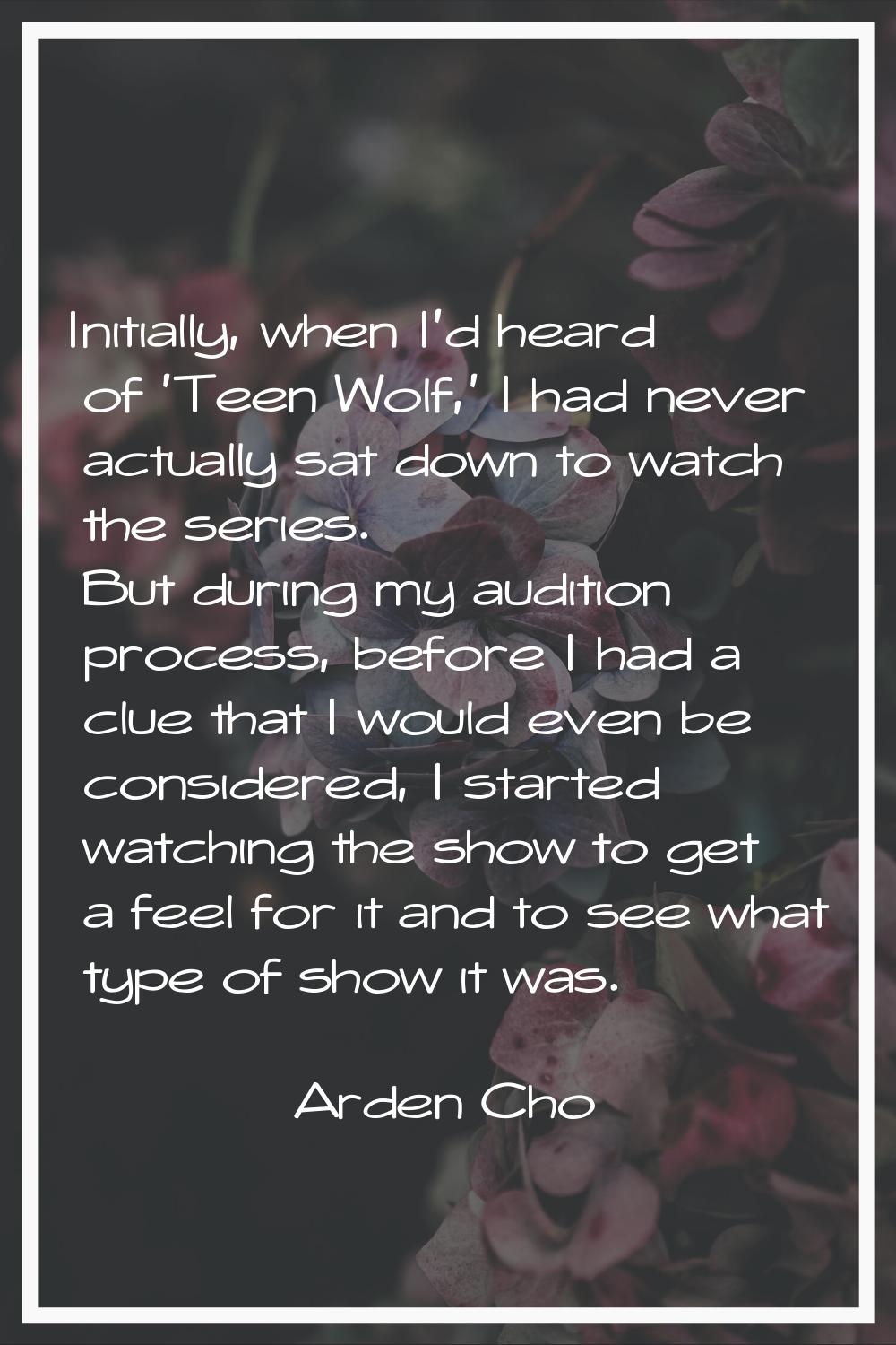 Initially, when I'd heard of 'Teen Wolf,' I had never actually sat down to watch the series. But du